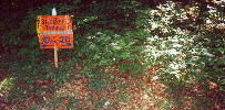 (c) KPKproject - Pfullingen - Bild-2
