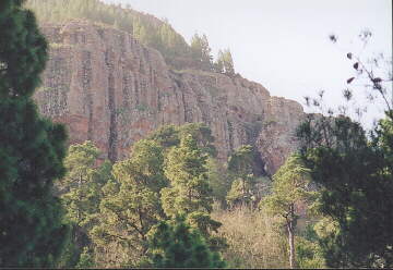 (c)2002 KPKproject - La Caldera - Los Organos - Die Orgelpfeifen