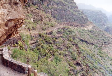 (c)2002 KPKproject - Tenerife - Süd-West - Adeje - Barranco del Infierno