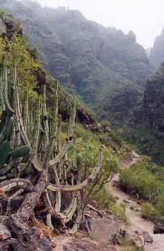 (c)2002 KPKproject - Tenerife - Sd-West - Adeje - Barranco del Infierno