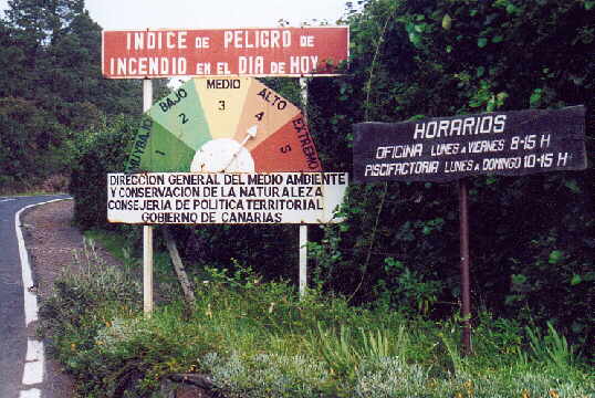 (c)2002 KPKproject - Auf dem Weg zum Teide-NP von La Orotava kommend