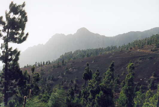 (c)2002 KPKproject - Auf dem Weg zum Teide-NP von La Esperanza kommend