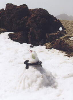 (c)2002 KPKproject - Caldera de las Canadas
