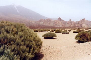 (c)2002 KPKproject - bereits in der Caldera de las Canadas