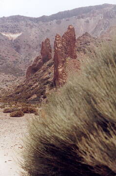 (c)2002 KPKproject - bereits in der Caldera de las Canadas