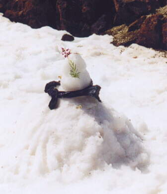 (c)2002 KPKproject - Caldera de las Canadas