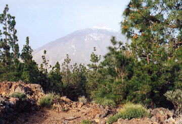 (c)2002 KPKproject - Teide-Nationalpark