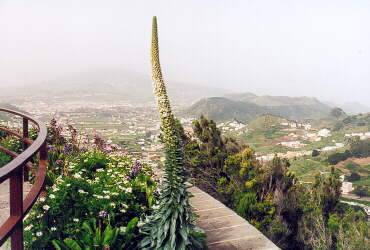 (c)2002 KPKproject - Tenerife - Ost
