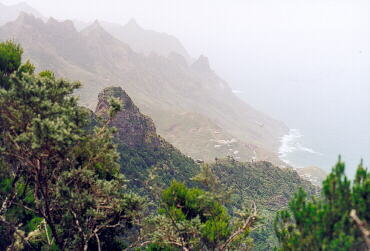 (c)2002 KPKproject - Tenerife - Ost