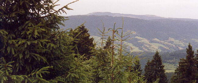 Brandenkopf - Panorama