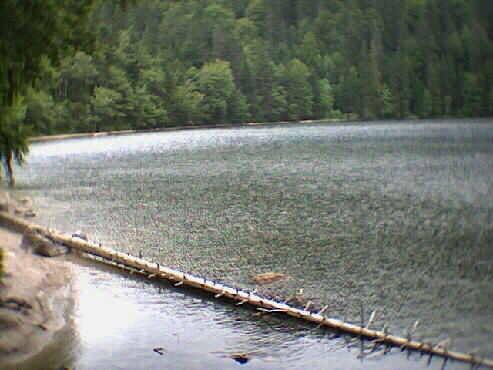 Feldsee - Feldberg