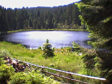 Herrenwieser See