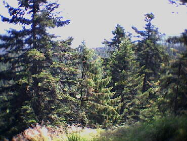Unterwegs zum Zwei-Seen-Blick