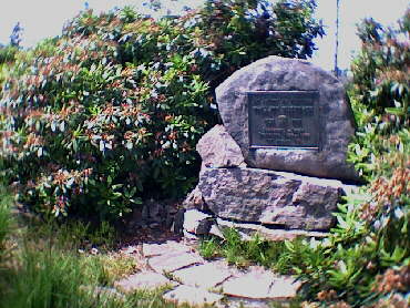 Bussemer Gedenkstein beim Seekopf