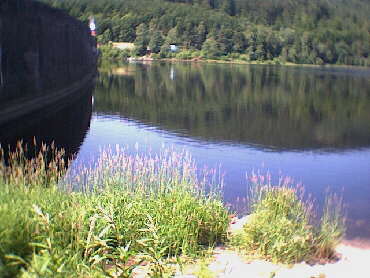 Schwarzenbach-Talsperre - Staumauer