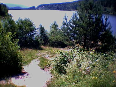 Schwarzenbach-Talsperre - ein Blick zurck