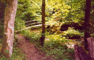 Gauchachschlucht wie wir sie erleben