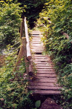 Gauchachschlucht wie wir sie erleben