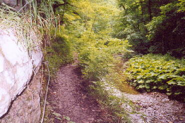 Gauchachschlucht wie wir sie erleben
