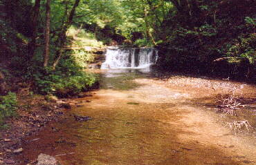 Gauchachschlucht wie wir sie erleben