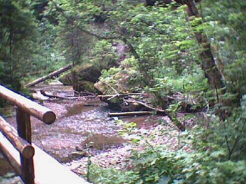 In der Gauchachschlucht