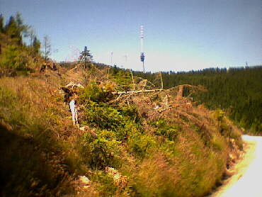 2001 - Auf dem Weg zur Hornisgrinde