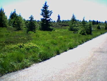 2001 - Hochmoor
