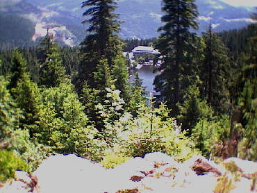 2001 - Blick auf den Mummelsee