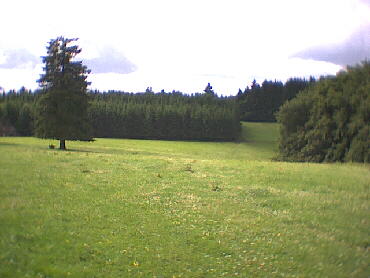 Der Weg fhrt ber groe Weideflchen