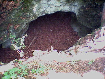 Versteckt eine Höhle
