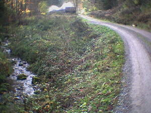 Im Seebachtal wandern wir dem Huzenbach See entgegen