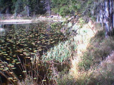 Huzenbach See