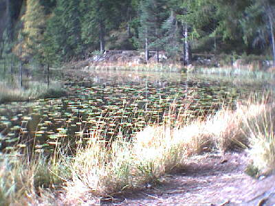 Huzenbach See