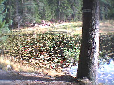 Huzenbach See