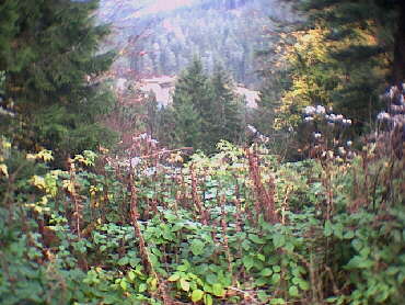 Huzenbach See - endlich erreicht der Seeblick