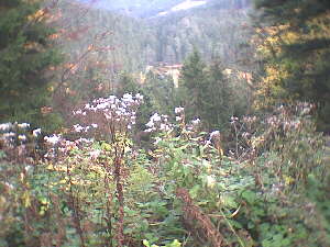Huzenbach See - Blick vom Seeblick