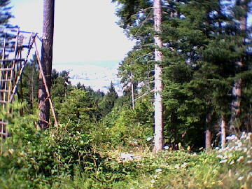 (c)2002 KPKproject - Lemberg-Turm-Wanderung