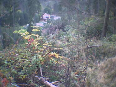 Pfalzgrafenweiler - Blick zur Kläranlage beim Abstieg von der Nördlinger Hütte