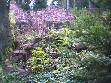 Pfalzgrafenweiler - Die Burgruine Rdenberg