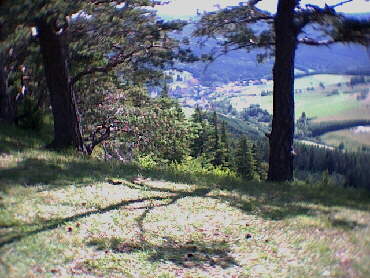 Blick auf Hausen vom Hinteren Schafberg