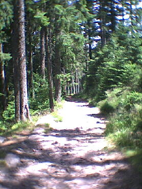 Der steinige Weg bergab zum See