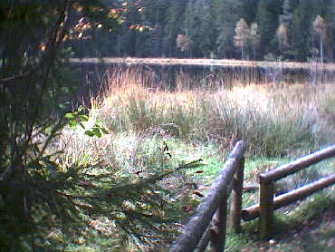 Am Schurmsee