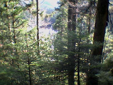 Blick auf den Schurmsee