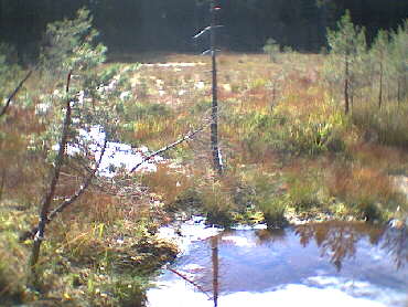 Blindsee - mehr eine Sumpflandschaft