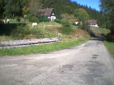 Bereits wieder im Tal im Gebiet des Forsthaus Tauchert