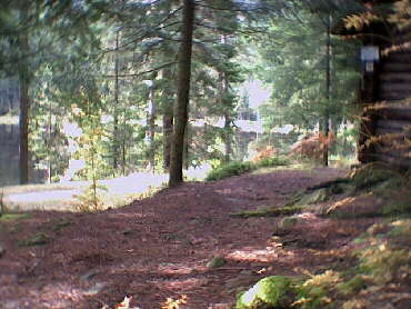 Am Schurmsee