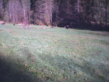 Hahnbrunnenwiese - Grillplatz
