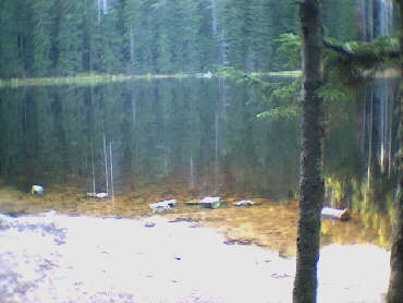 Wildsee