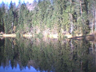 Wildsee