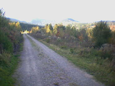Blick auf die Hornisgrinde kurz von Hinterlangenbach